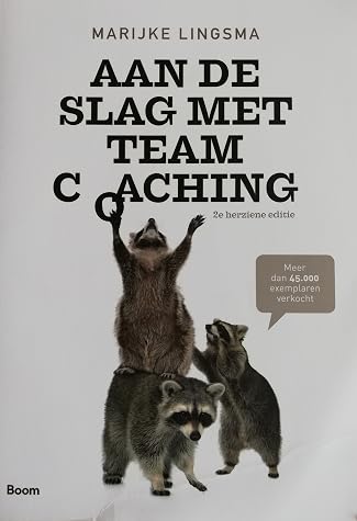 Aan de slag met teamcoaching van Marijke Lingsma